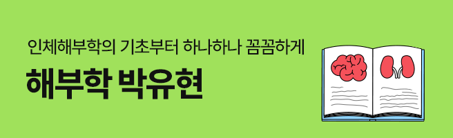 profBnM_wish2fly_241223_01.png